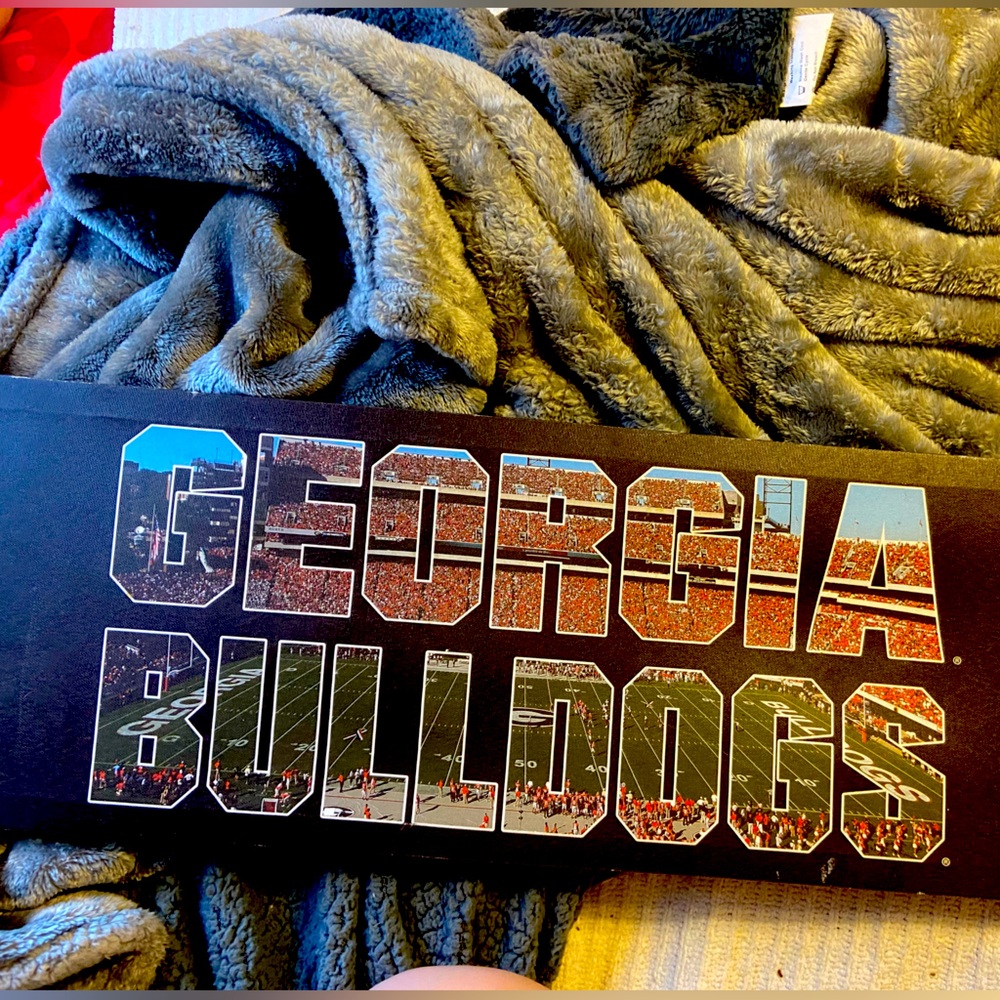 Georgia bull dog canvas board